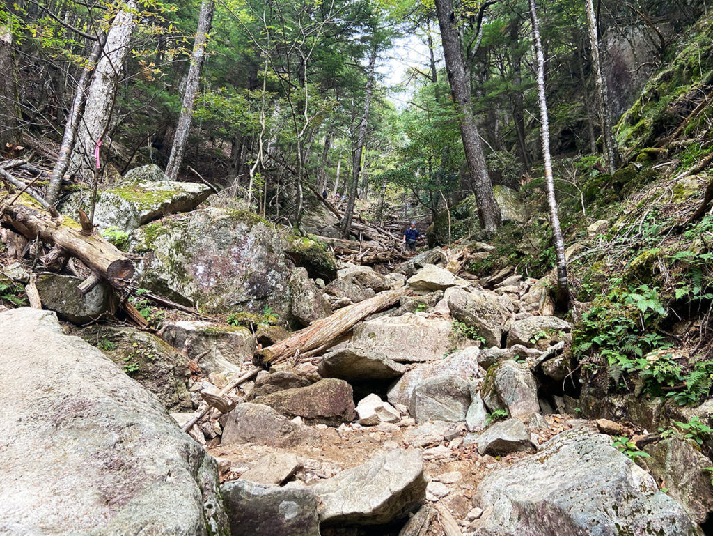 岩がゴロゴロした登山道