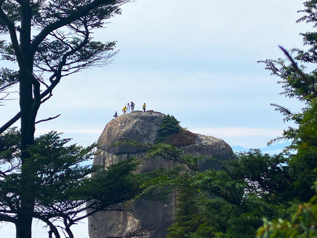 大ヤスリ岩山頂ウェディング