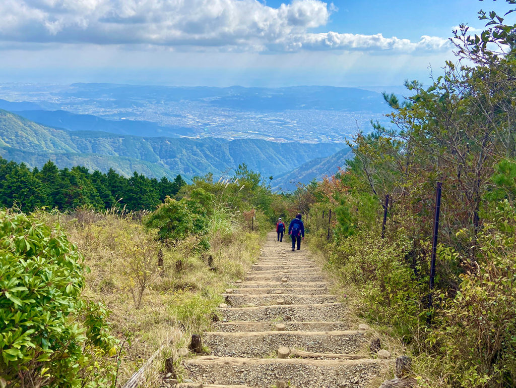 大倉尾根（バカ尾根）