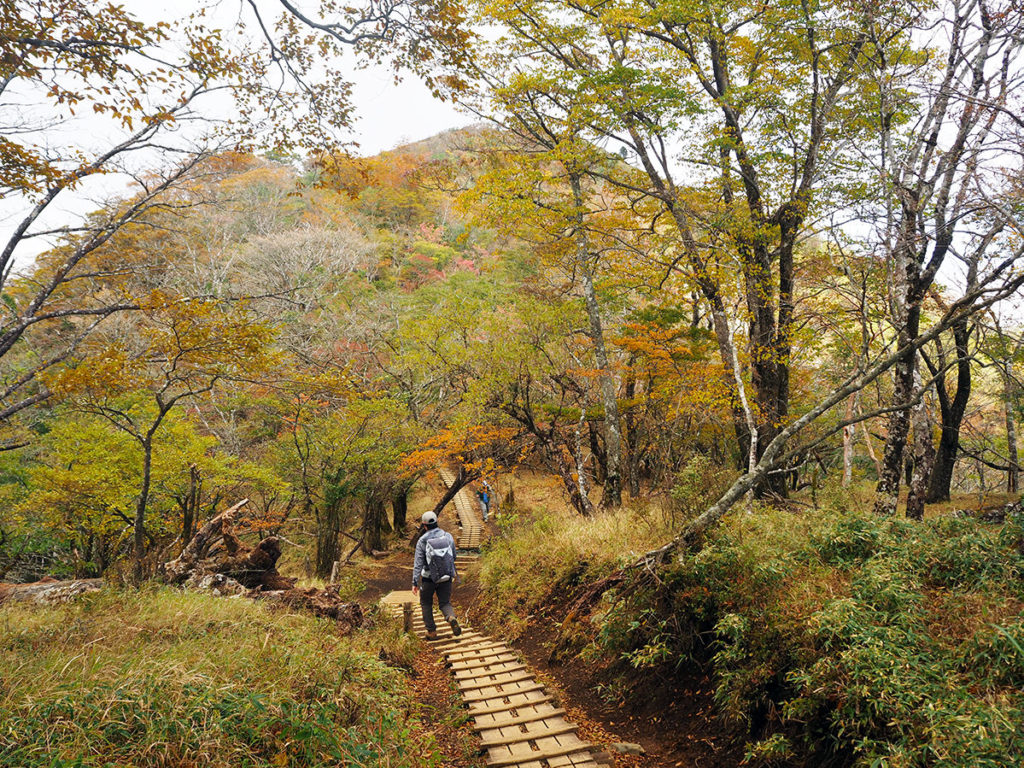 秋色の塔ノ岳