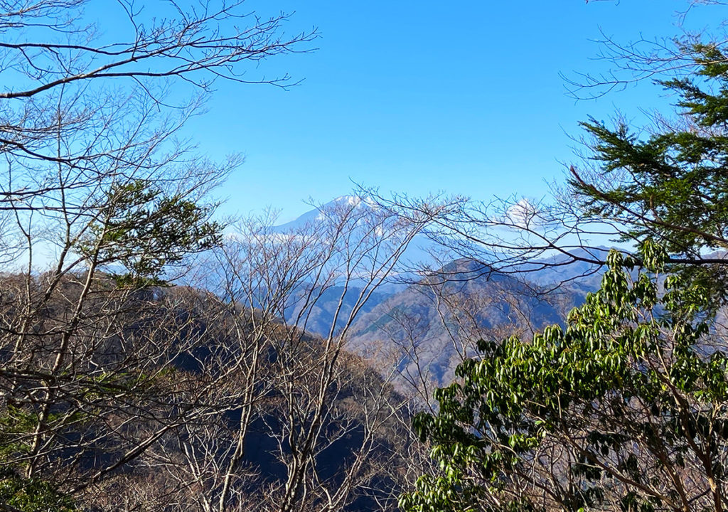 見晴台からの富士山