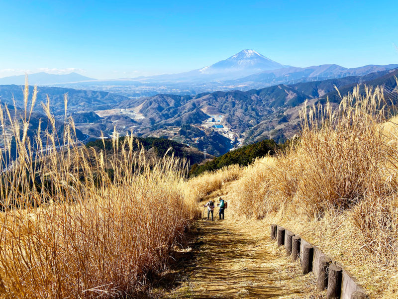 大野山ハイキング中の富士山の絶景！