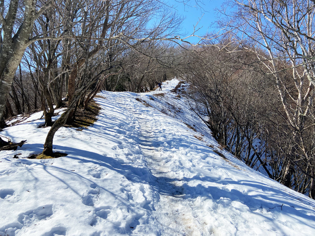 積雪期の川苔山登山道
