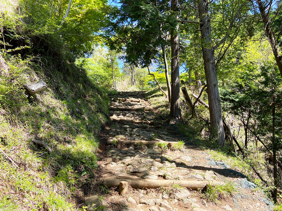 ヤビツ峠から階段が続く登山道