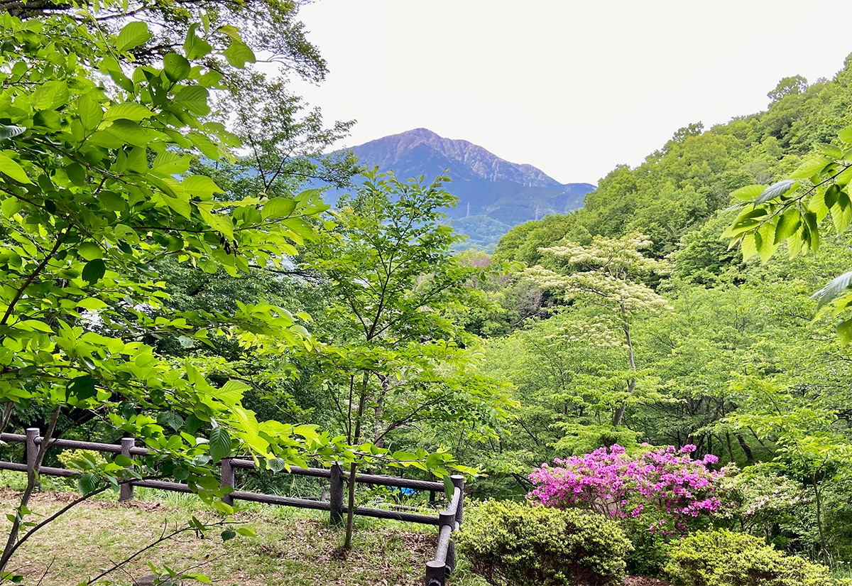 弘法山公園入口から大山を望む