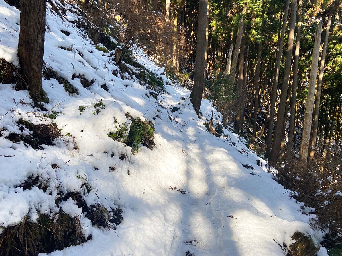 雪に覆われた登山道